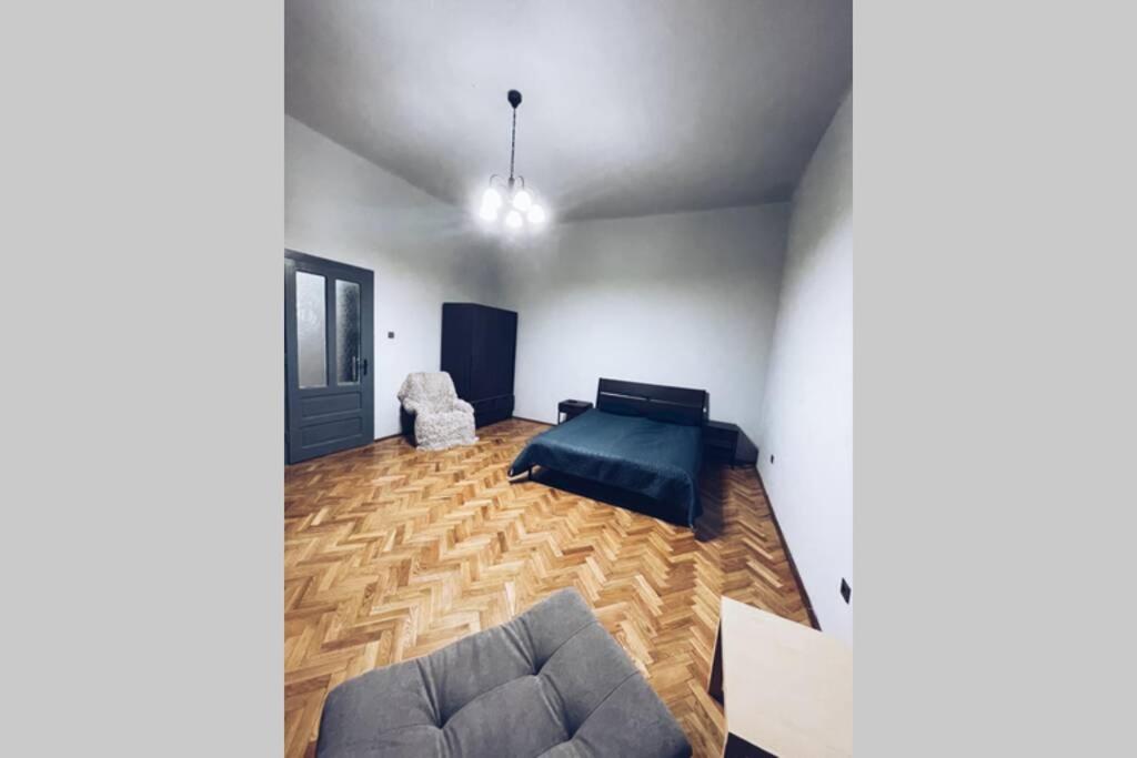 ☆Modern High Ceiling Apartment - Heart Of The City Oradea Exteriér fotografie
